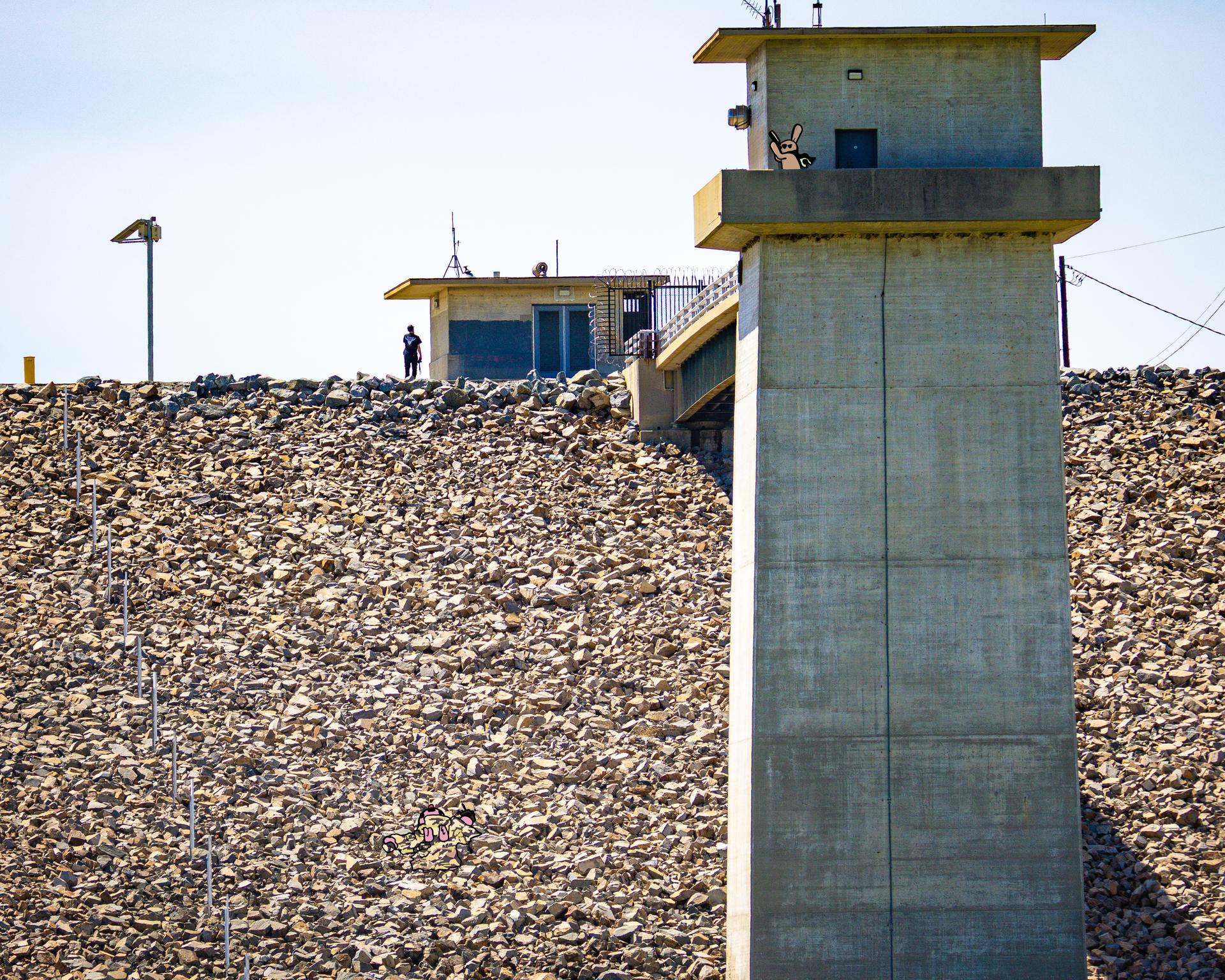 Buns Where They Don't Belong #1