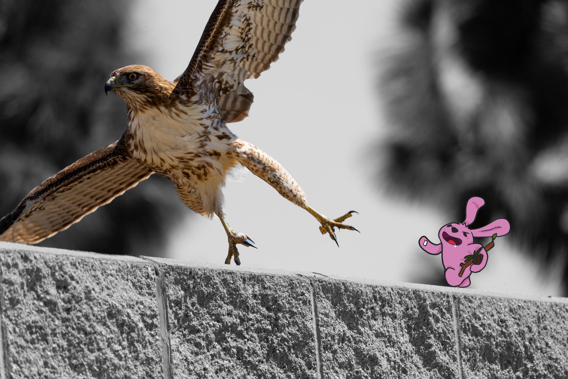 Buns Where They Don't Belong #2