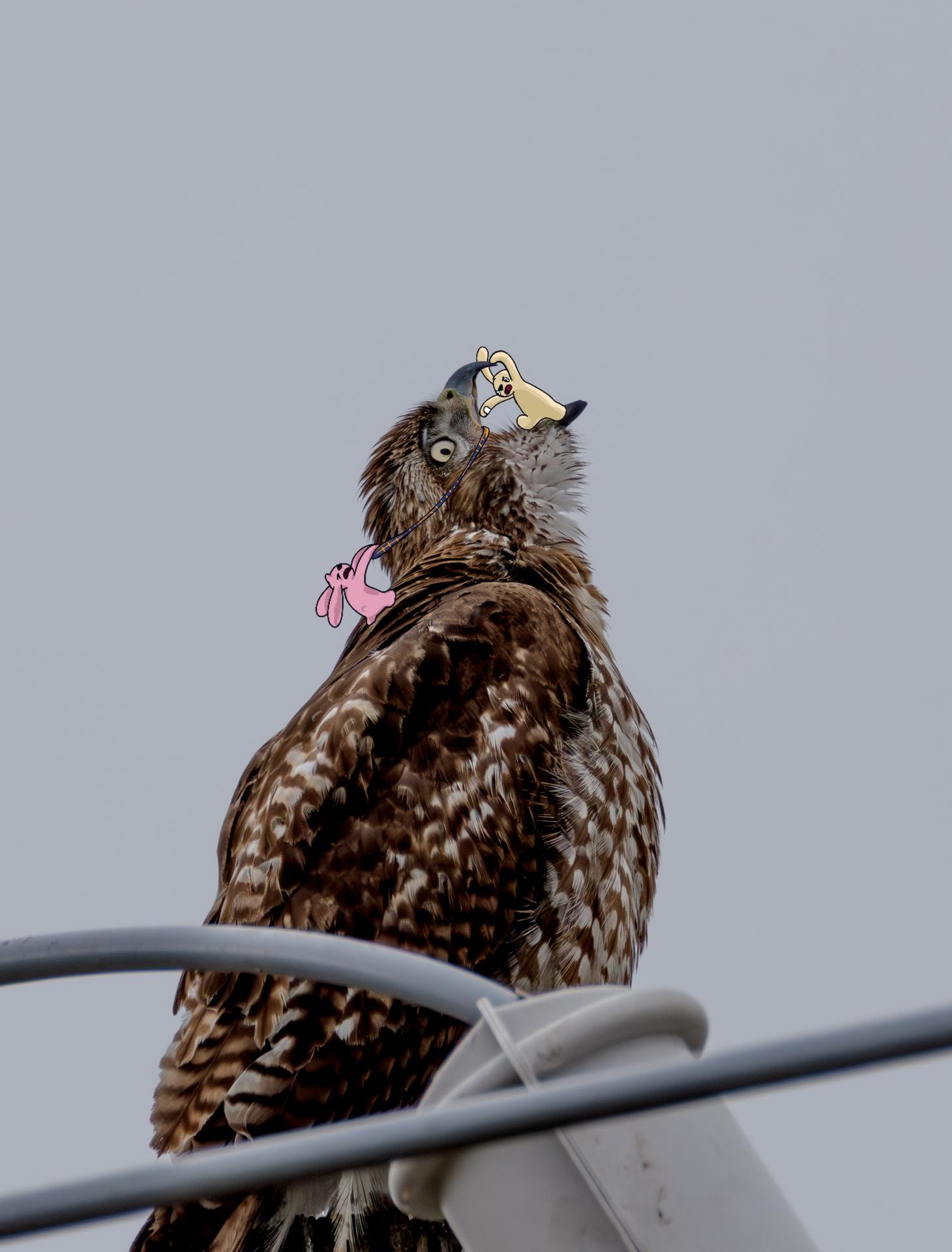 Buns Where They Don't Belong #3