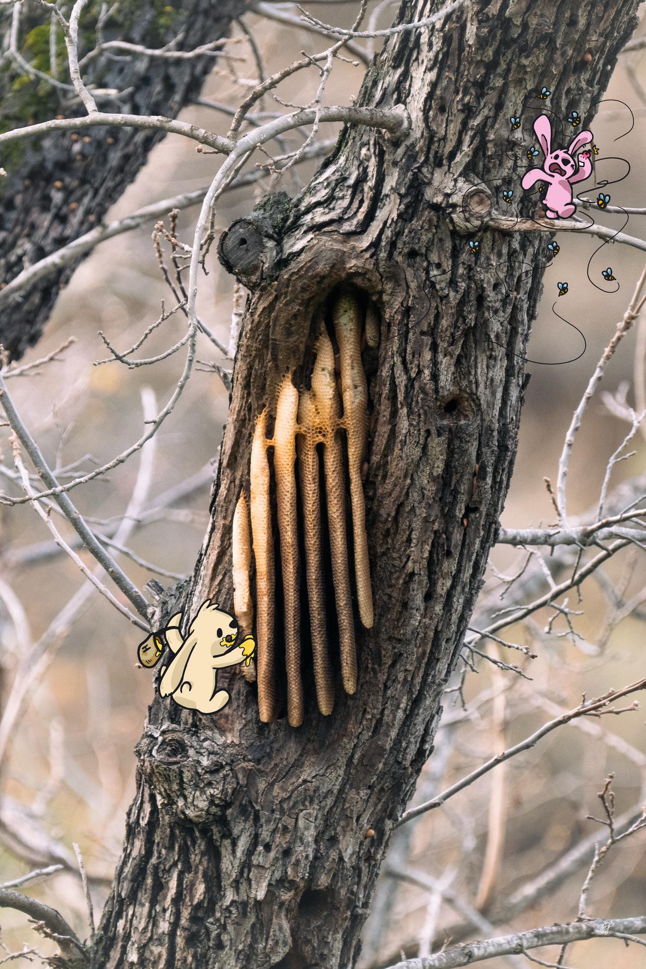 Buns Where They Don't Belong #4