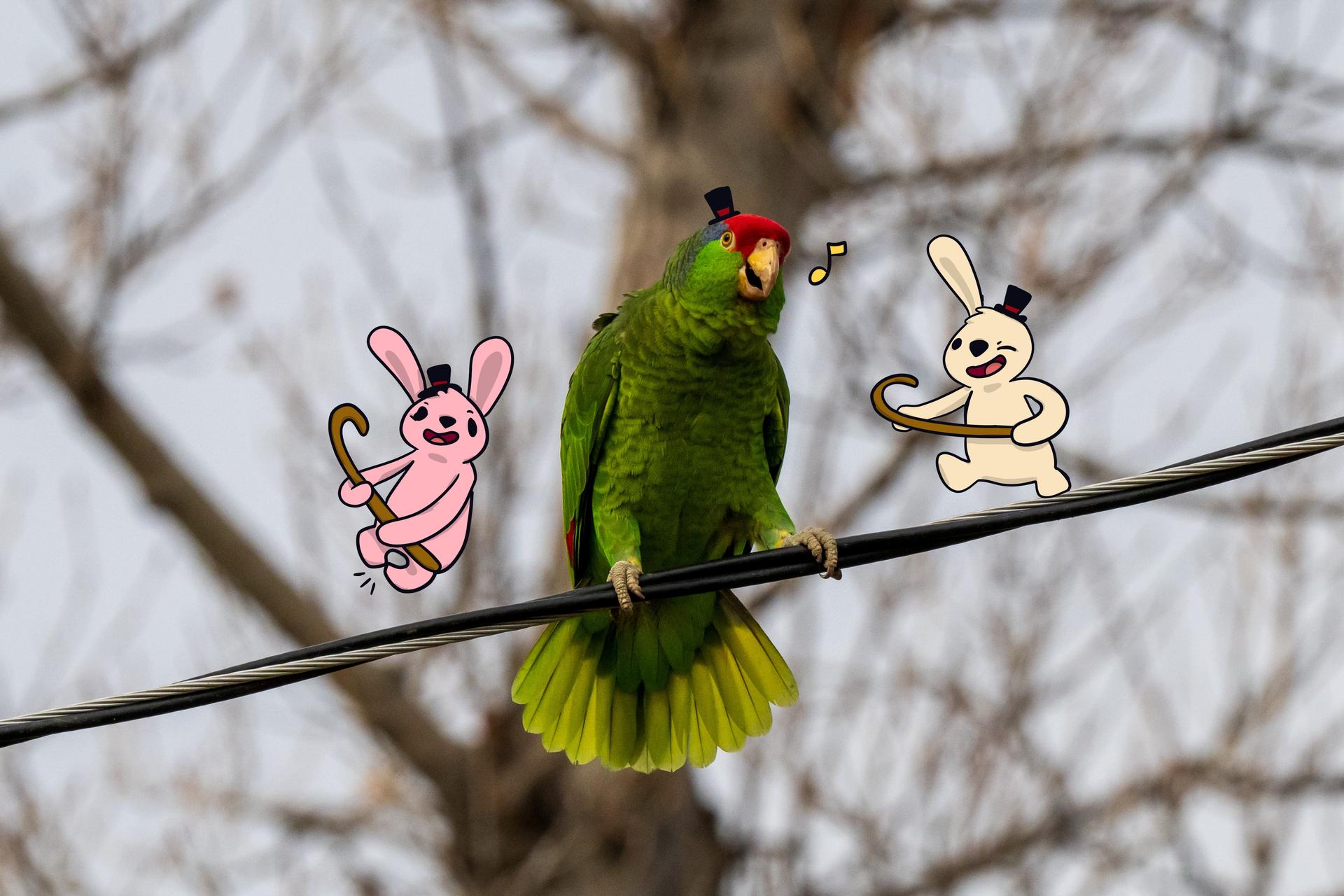 Buns Where They Don't Belong #5