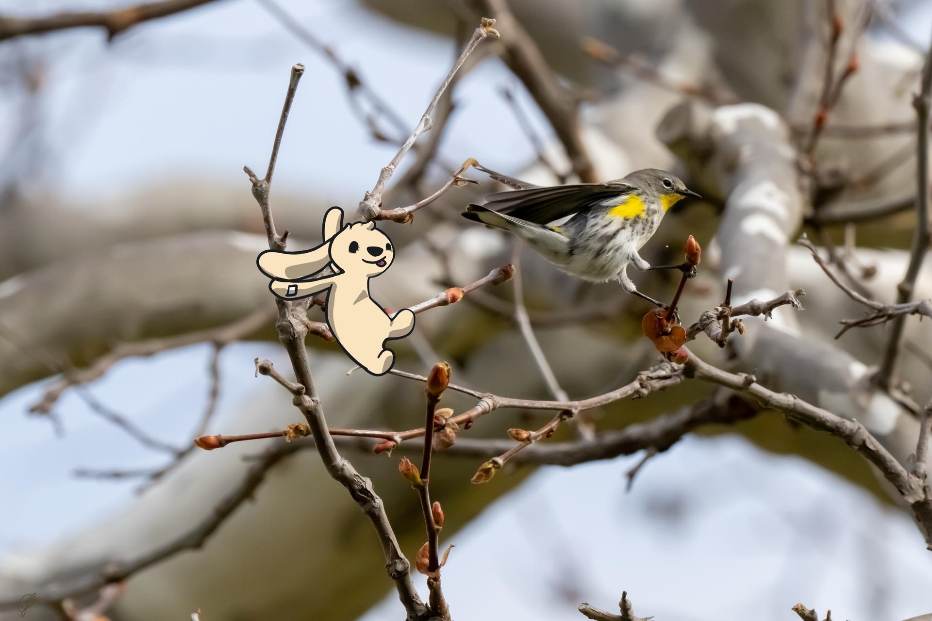 Buns Where They Don't Belong #6