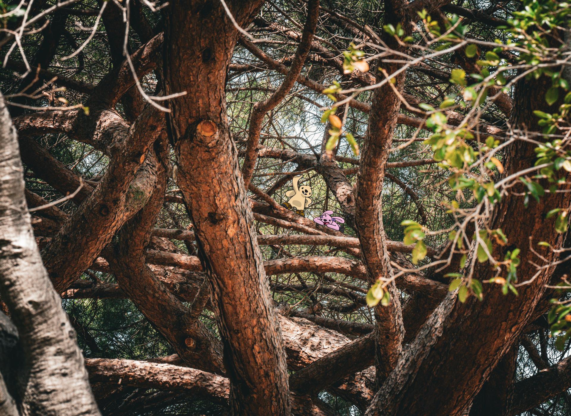 Buns Where They Don't Belong #7