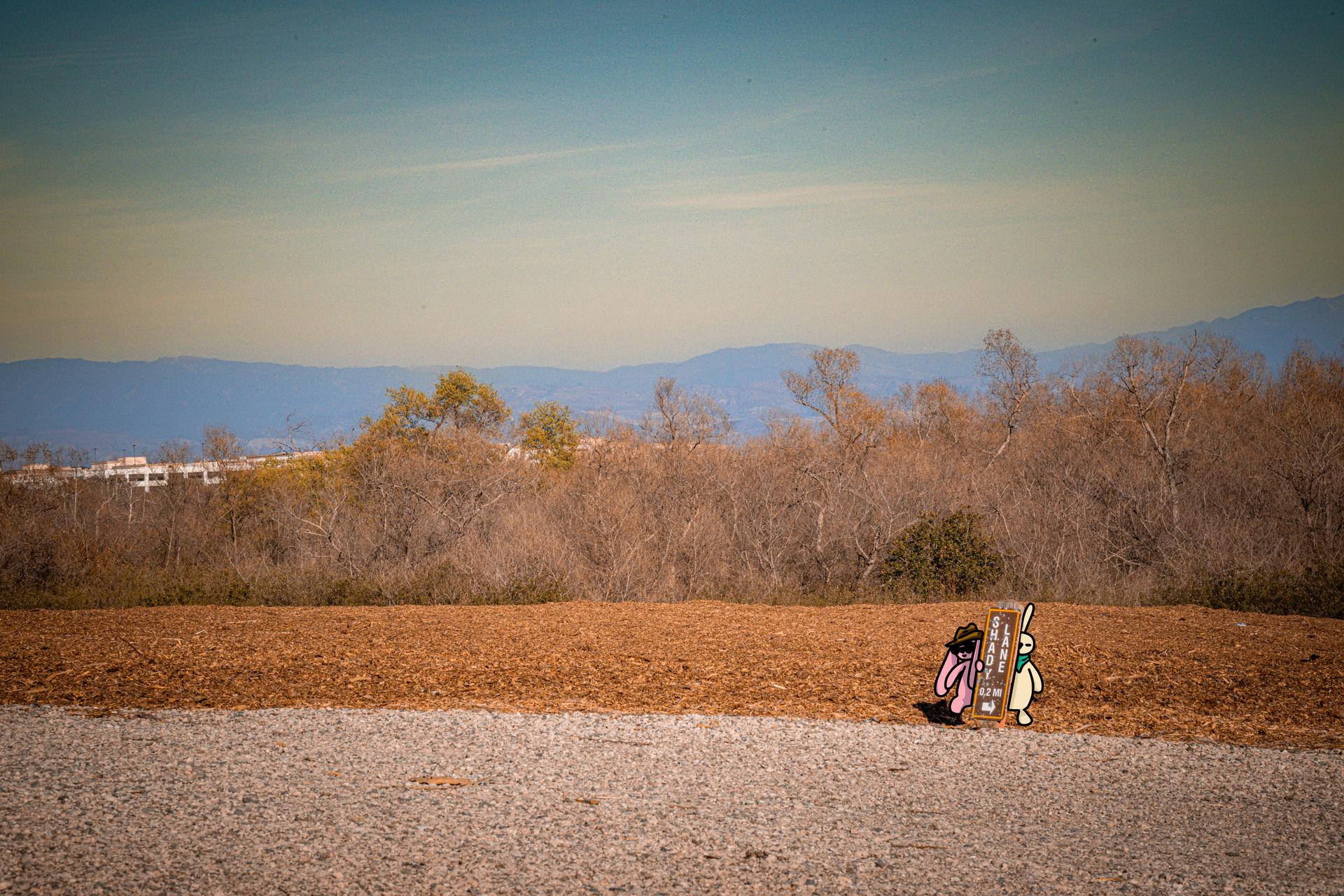 Buns Where They Don't Belong