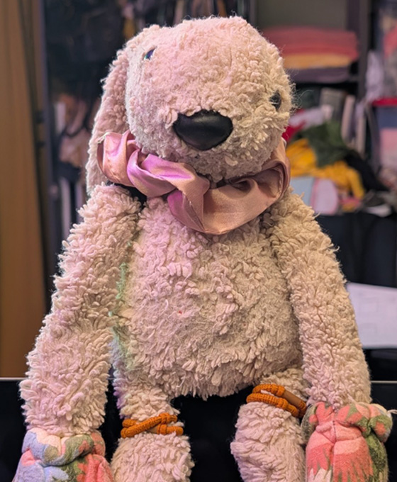 Bunbun real life photo